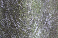 Perranporth fibreglass roof work